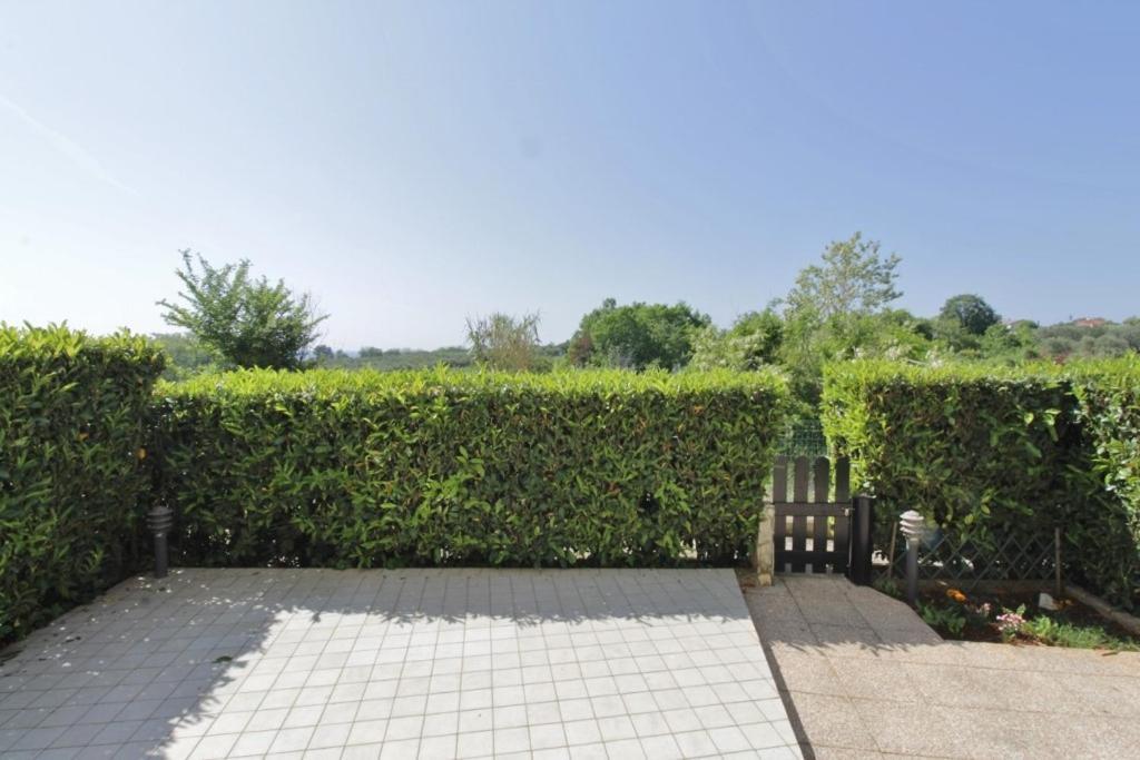 Apartamento Biljana Savudrija Exterior foto